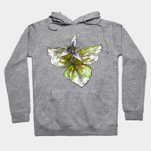 Trillium Hoodie